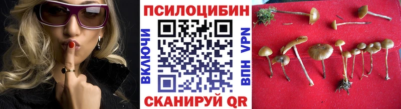 Галлюциногенные грибы Cubensis магазин продажи Почеп